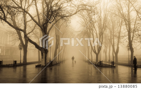 Fog alley and people. Photo in old yellow style. 13880085