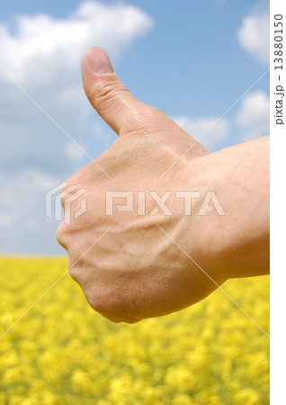 Farmer's hand symbolize this year's harvest 13880150