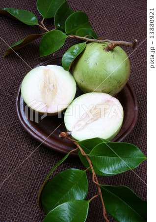 Vietnam farm product, milk fruit, star apple 13880921