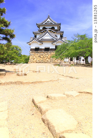 6月滋賀 彦根城・天守閣と本丸御殿跡 6月滋賀 彦根城・天守閣と本丸御殿跡 13881265