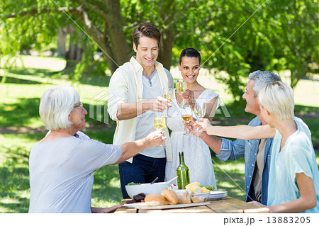 Happy couple toasting with their family Happy couple toasting with their family 13883205