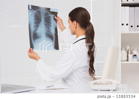 Focus doctor analyzing xray results 13883534