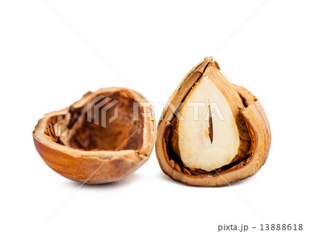 chopped hazelnuts close up 13888618