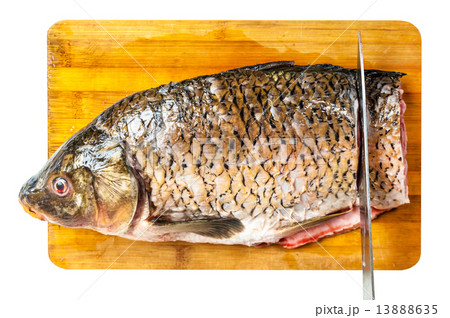 cleaned fish cleaned fish 13888635
