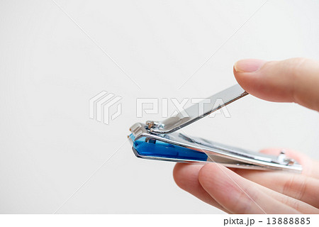爪切り 13888885