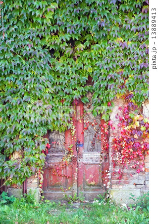 Old red doors 13889413