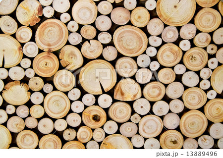 small size of tree stumps background small size of tree stumps background 13889496