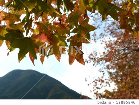 季節の風景（紅葉） 13895846