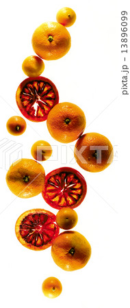 Citrus mixed composing 13896099