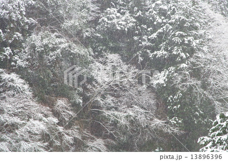 鳩ノ巣渓谷の雪景色 鳩ノ巣渓谷の雪景色 13896396