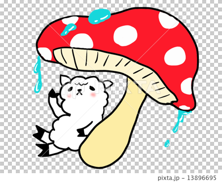 羊駝庇護所 13896695