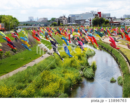 大阪府摂津市の大正川河川敷公園の大空に泳ぐ鯉のぼり 13896763