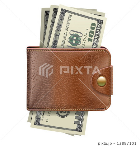 Vector Wallet with Money 13897101