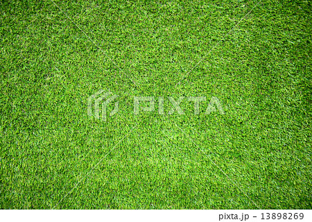 grass field grass field 13898269