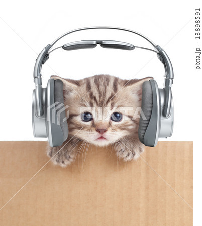 Funny kitten cat in headphones in cardboard box Funny kitten cat in headphones in cardboard box 13898591