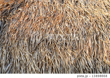 straw roof 13898668