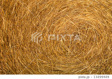 straw background 13899489