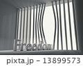 bent prison bars and the inscription freedom 13899573