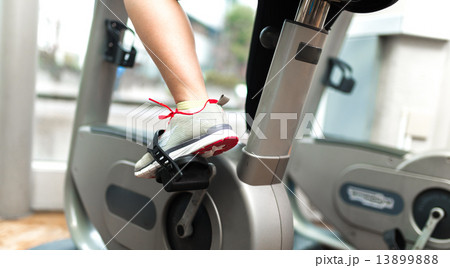 スポーツジム・フィットネスクラブ スポーツジム・フィットネスクラブ 13899888