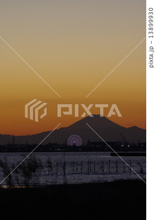 三番瀬 三番瀬 13899930