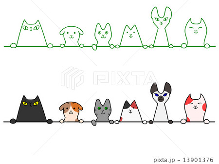 猫　一列　コピースペース 13901376