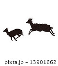 鹿　シカ　動物 13901662