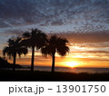 日没 13901750