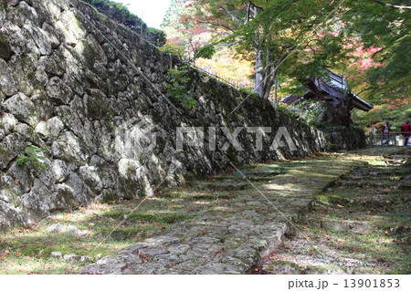 百済寺　 13901853