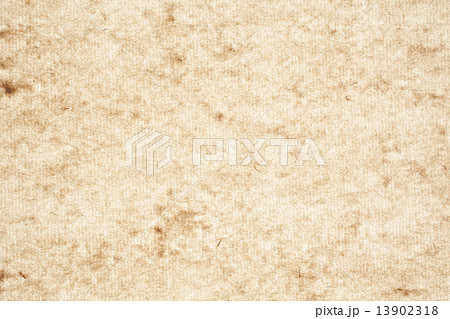 まだら模様の紙 まだら模様の紙 13902318