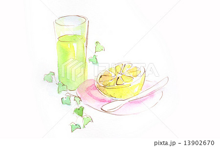 スムージー フルーツ ジュース グレープフルーツ 柑橘類 健康 ヘルシー ローカロリー ミック のイラスト素材