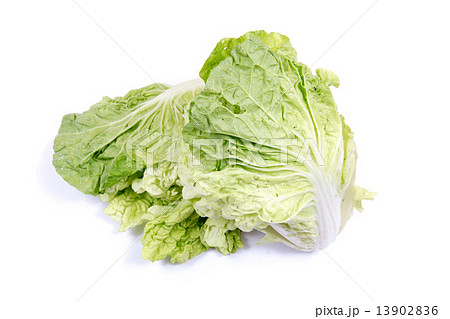 Lettuce isolated on a white background 13902836
