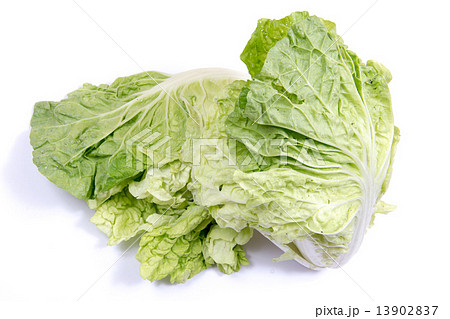 Lettuce isolated on a white background 13902837