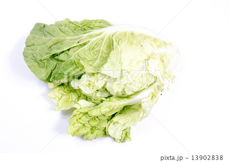 Lettuce isolated on a white background 13902838