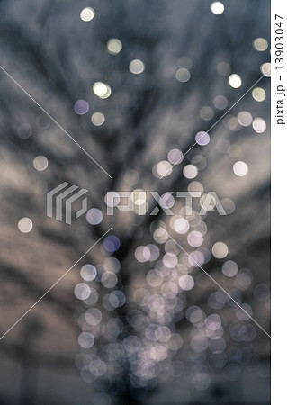 Defocused night lights on a deciduous tree Defocused night lights on a deciduous tree 13903047