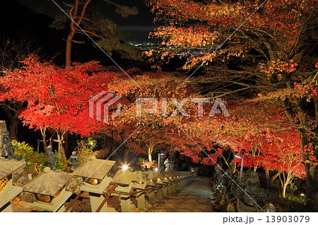 大山寺紅葉 13903079