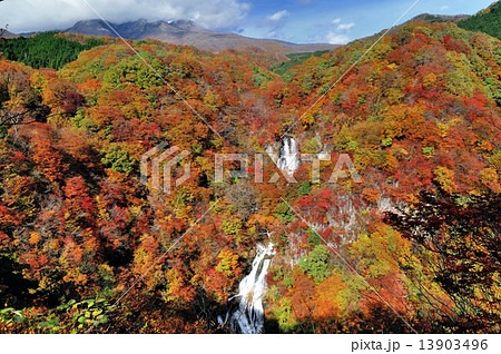 紅葉の霧降ノ滝 紅葉の霧降ノ滝 13903496