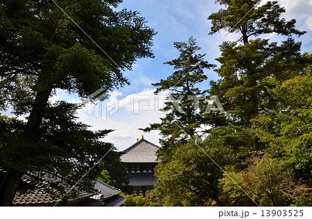 東大寺　境内の風景 13903525