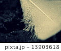 冬の使者の落し物 13903618