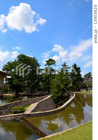 奈良公園の風景 13903620