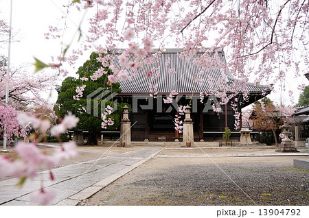 妙顕寺　参道と本堂 13904792