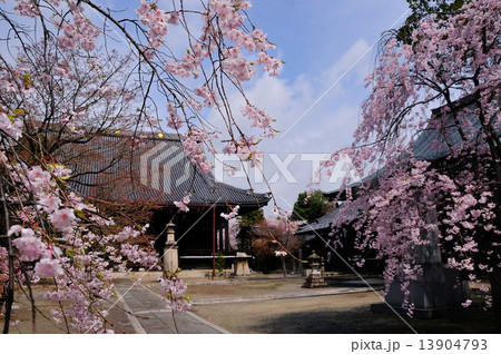 妙顕寺本堂 妙顕寺本堂 13904793