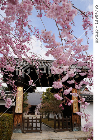 妙顕寺山門 13904795