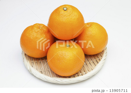 イヨカン 13905711