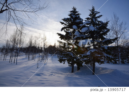 雪景色 13905717