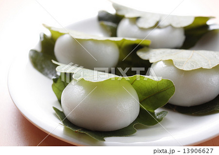 柏餅 柏餅 13906627