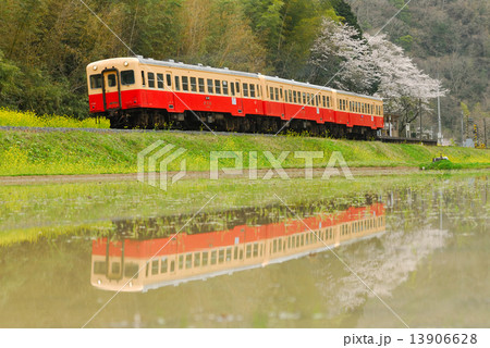 小湊鉄道　春景 13906628