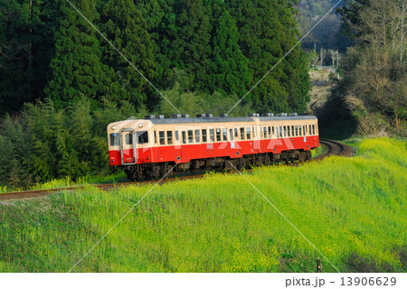 小湊鉄道　春景 13906629