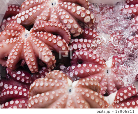 Octopus in a fresh market 13906811