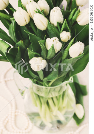 bouquet of white  tulips 13906910