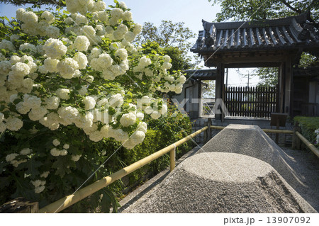 石光寺 春景 石光寺 春景 13907092